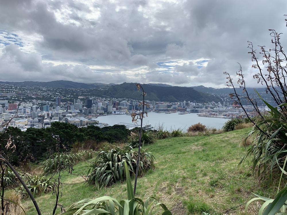 Windy & hipstery Wellington