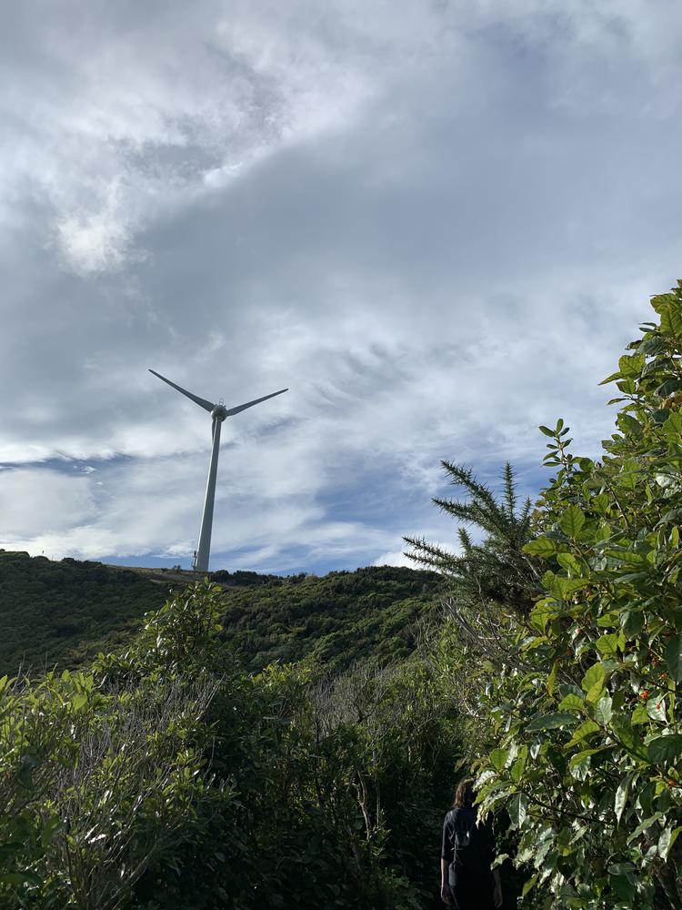 Windy & hipstery Wellington