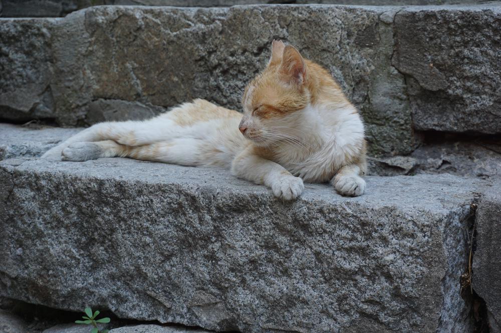 Plovdiv - Not impressed by the cultural capital