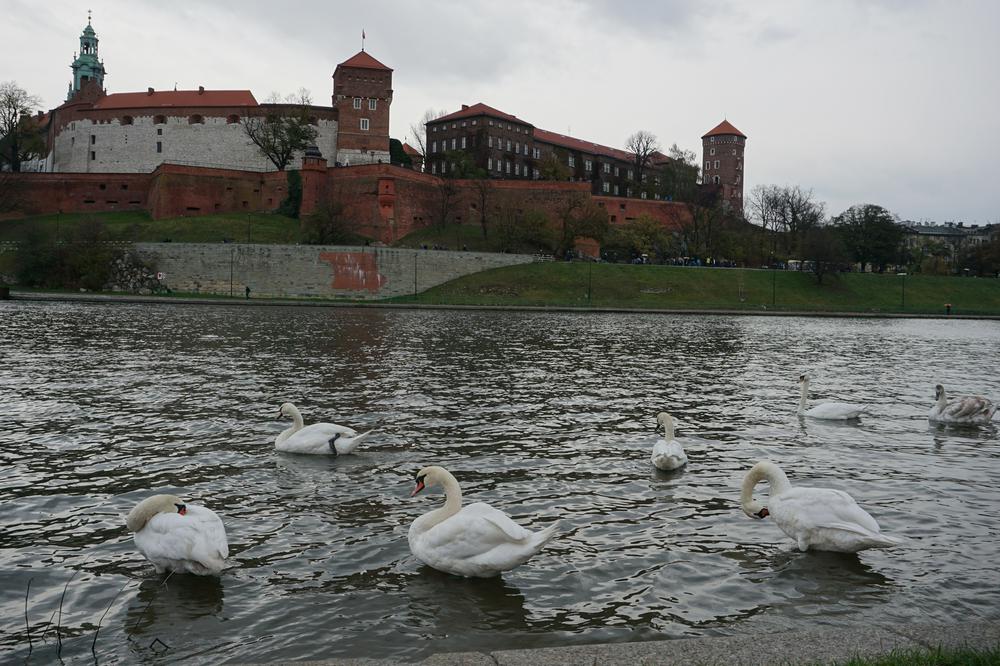 Kraków - 1 week of rain in the cultural capital