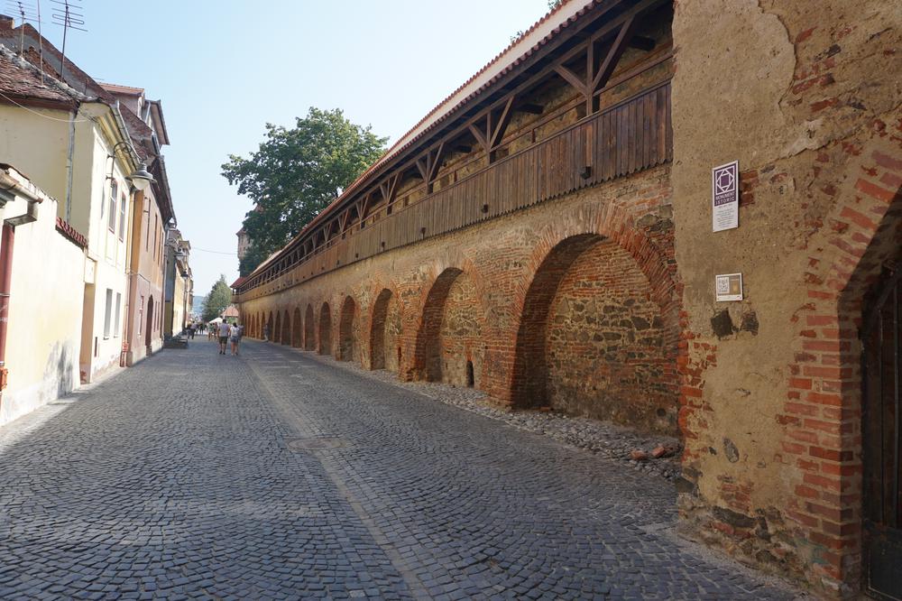 Sibiu -  A lot of German heritage and an idiot