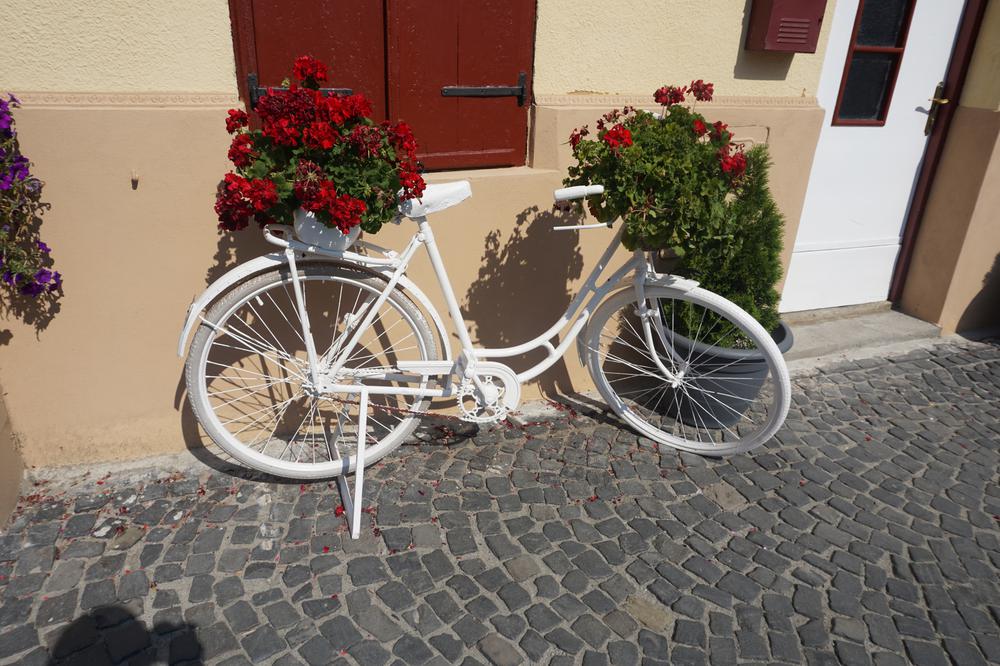 Sibiu -  A lot of German heritage and an idiot