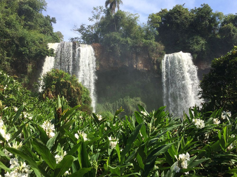 Iguazu - The biggest waterfalls in the world (II)