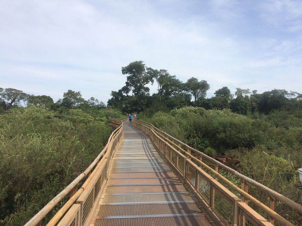 Iguazu - The biggest waterfalls in the world (II)