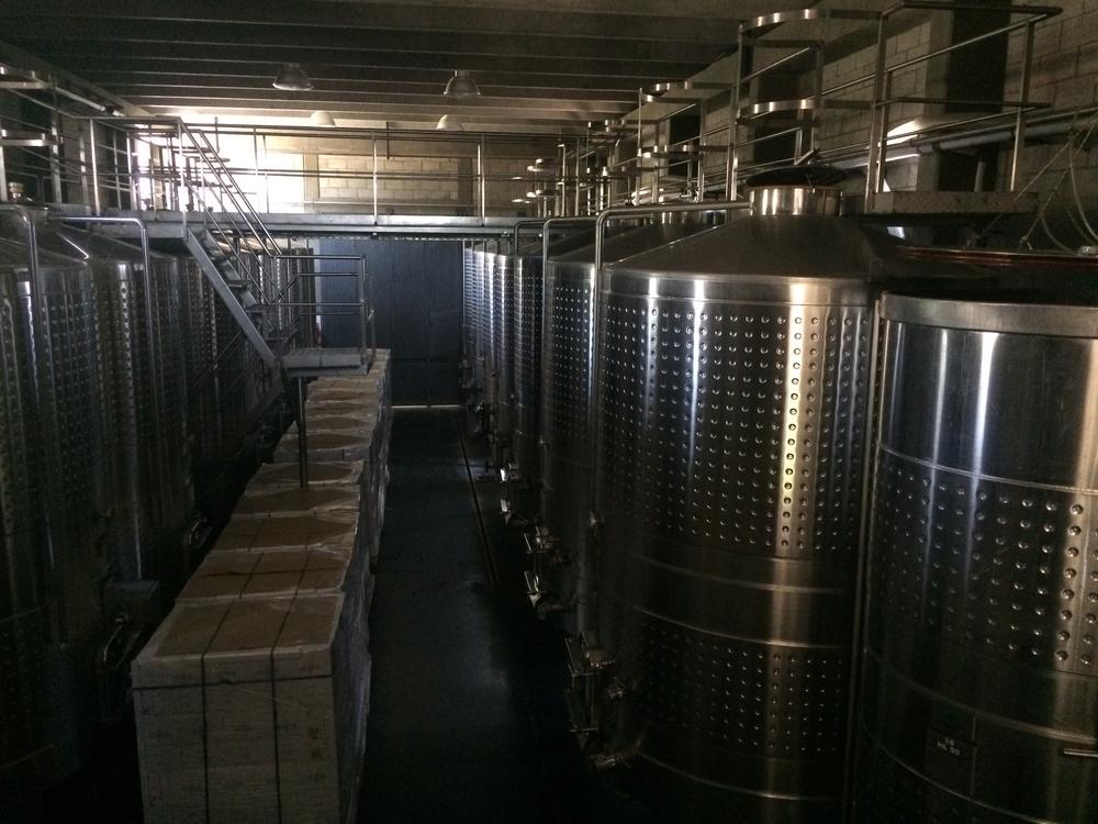 Mendoza - Wineries & High mountains