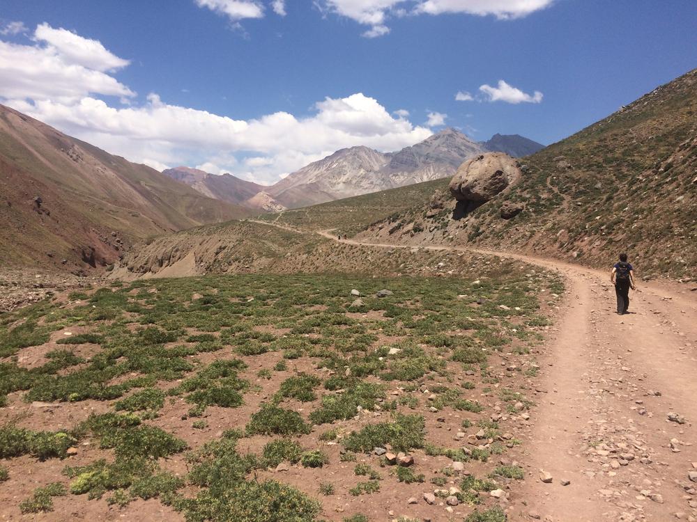 Mendoza - Wineries & High mountains