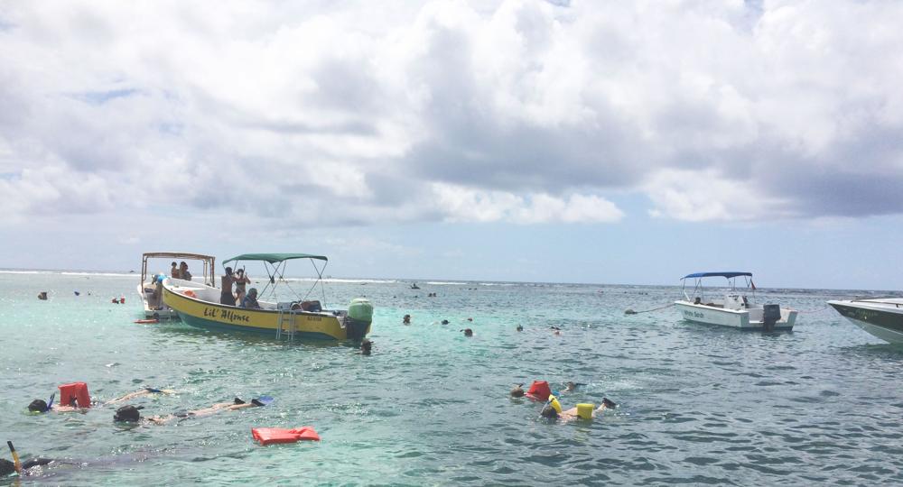 Cat orphanage instead of hotel in the island paradise Caye Caulker