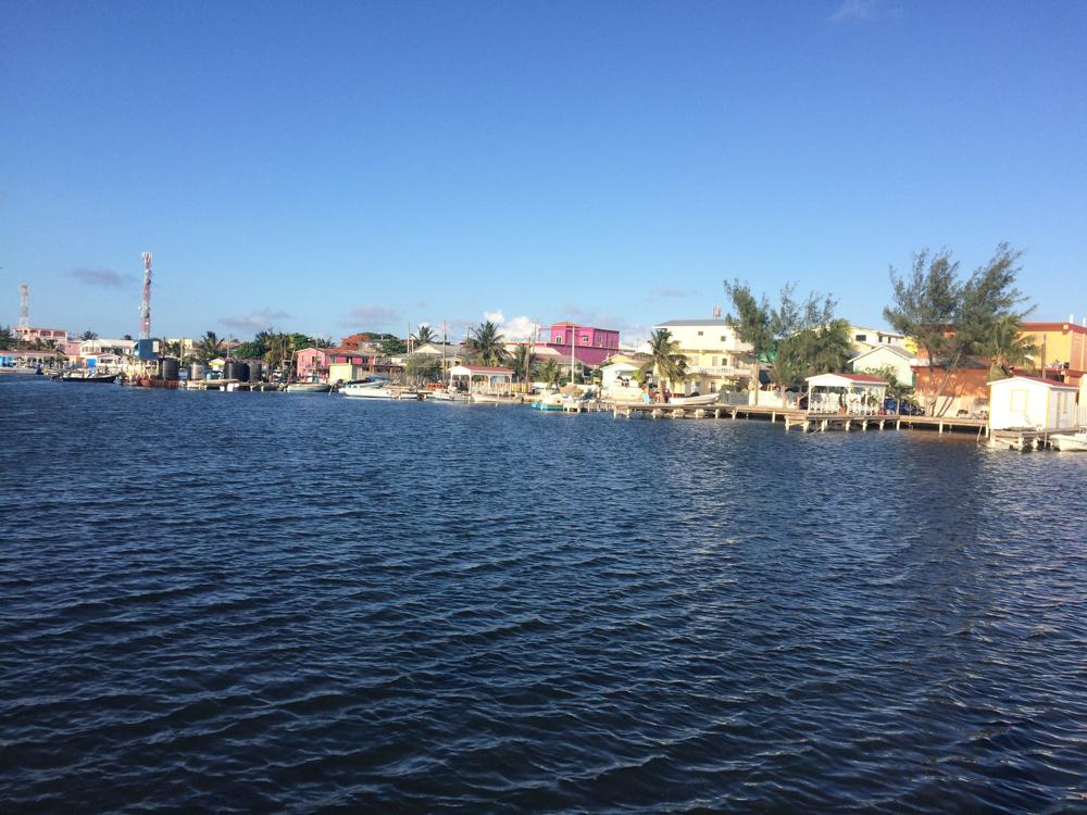 Cat orphanage instead of hotel in the island paradise Caye Caulker