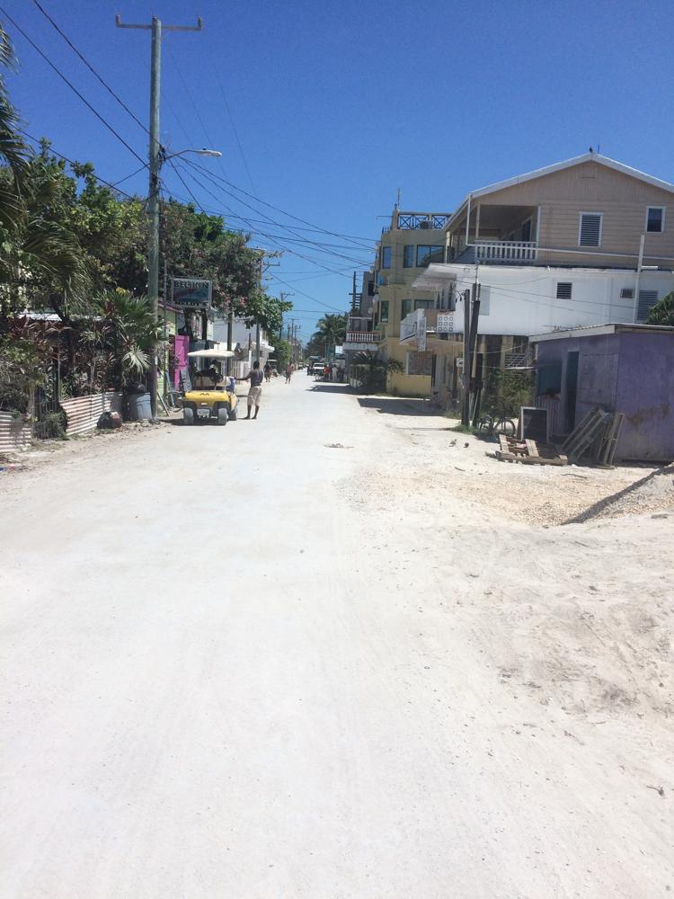 Cat orphanage instead of hotel in the island paradise Caye Caulker