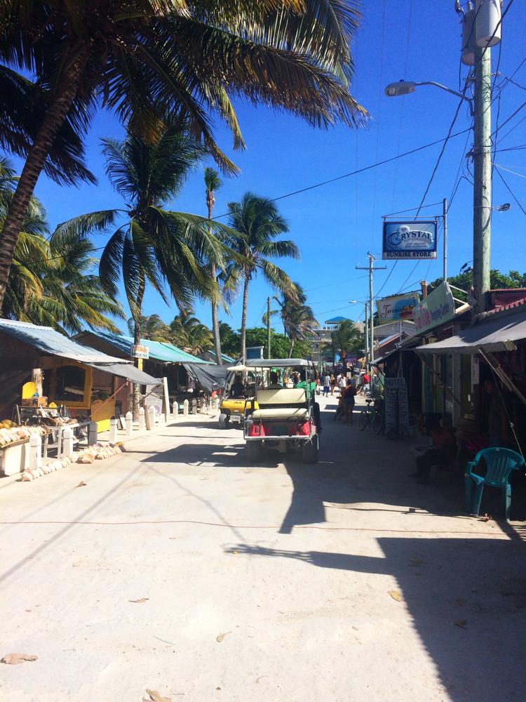 Cat orphanage instead of hotel in the island paradise Caye Caulker