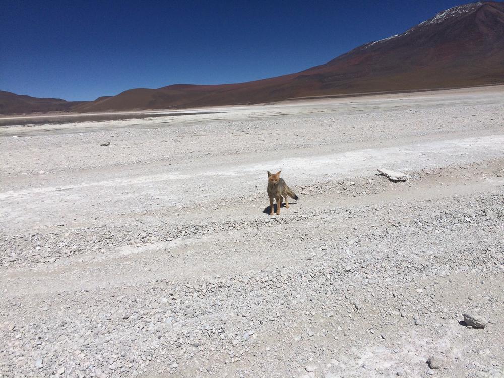 Uyuni - Entering the amazing landscapes of Bolivia