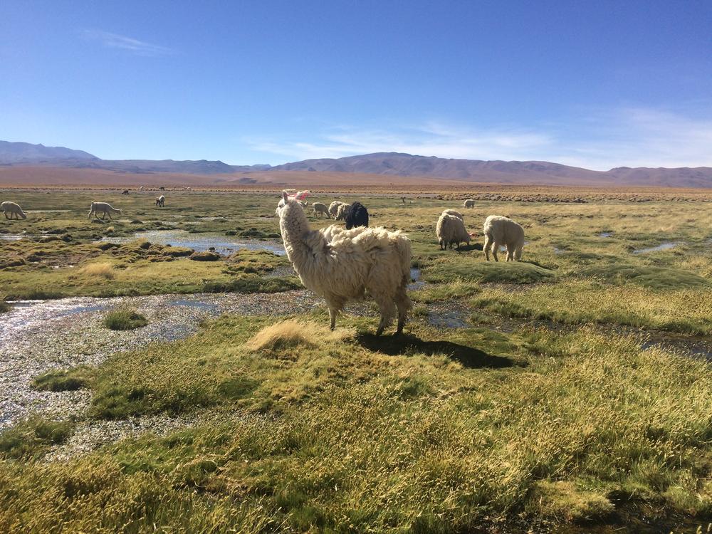 Uyuni - Entering the amazing landscapes of Bolivia