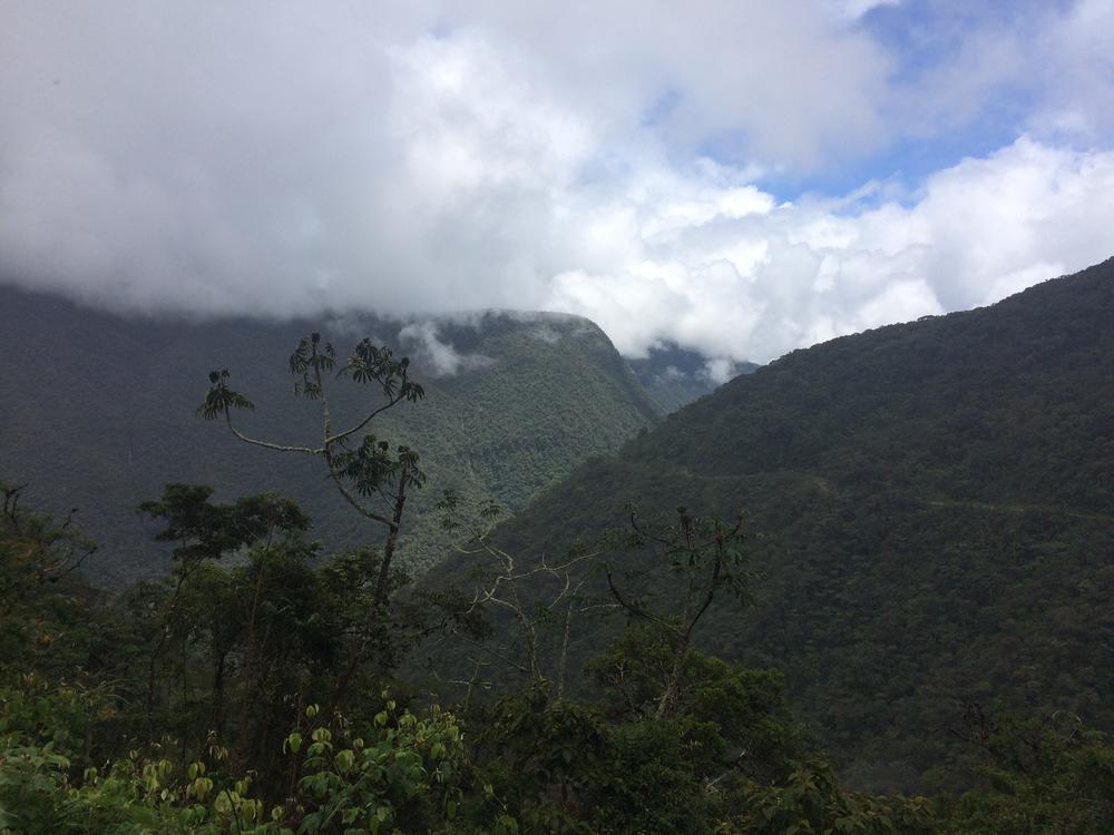 Yungas - Mountainbiking on the death road