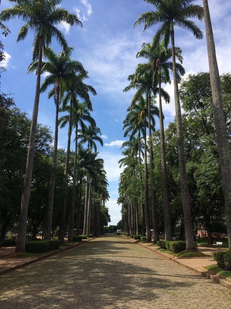 Belo Horizonte - The friendliest people