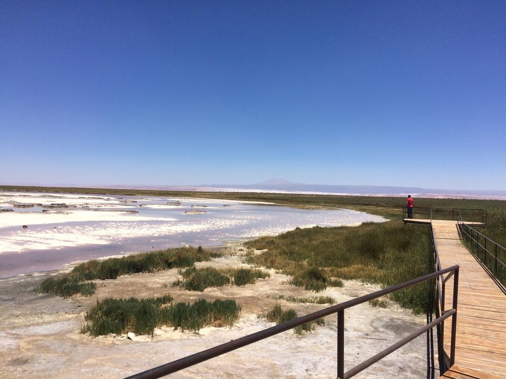 Atacama Desert - Moon like landscapes