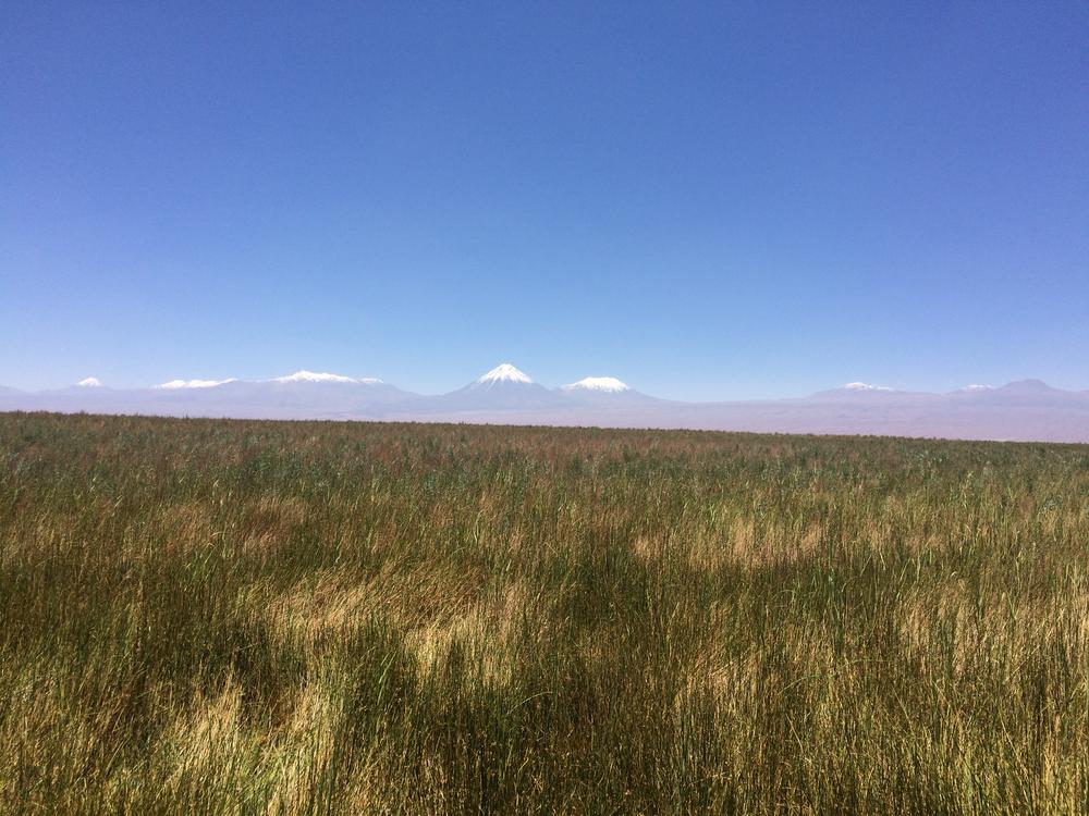 Atacama Desert - Moon like landscapes
