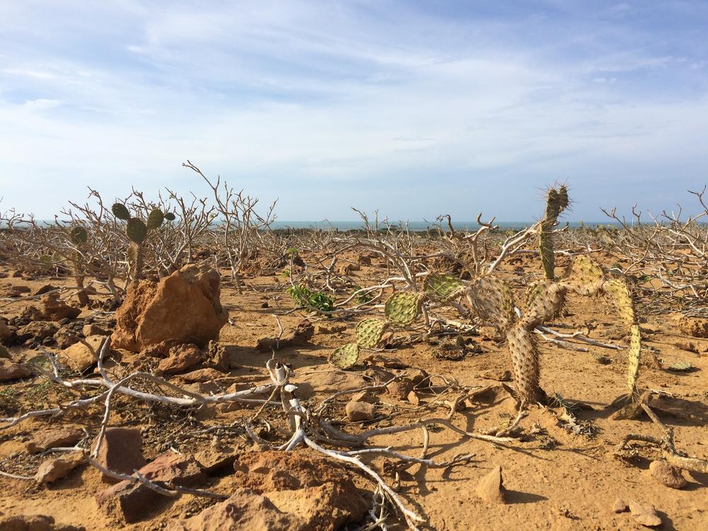 La Guajira - one of the most beautiful & unique places of all my travels