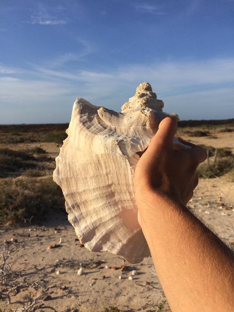 La Guajira - one of the most beautiful & unique places of all my travels