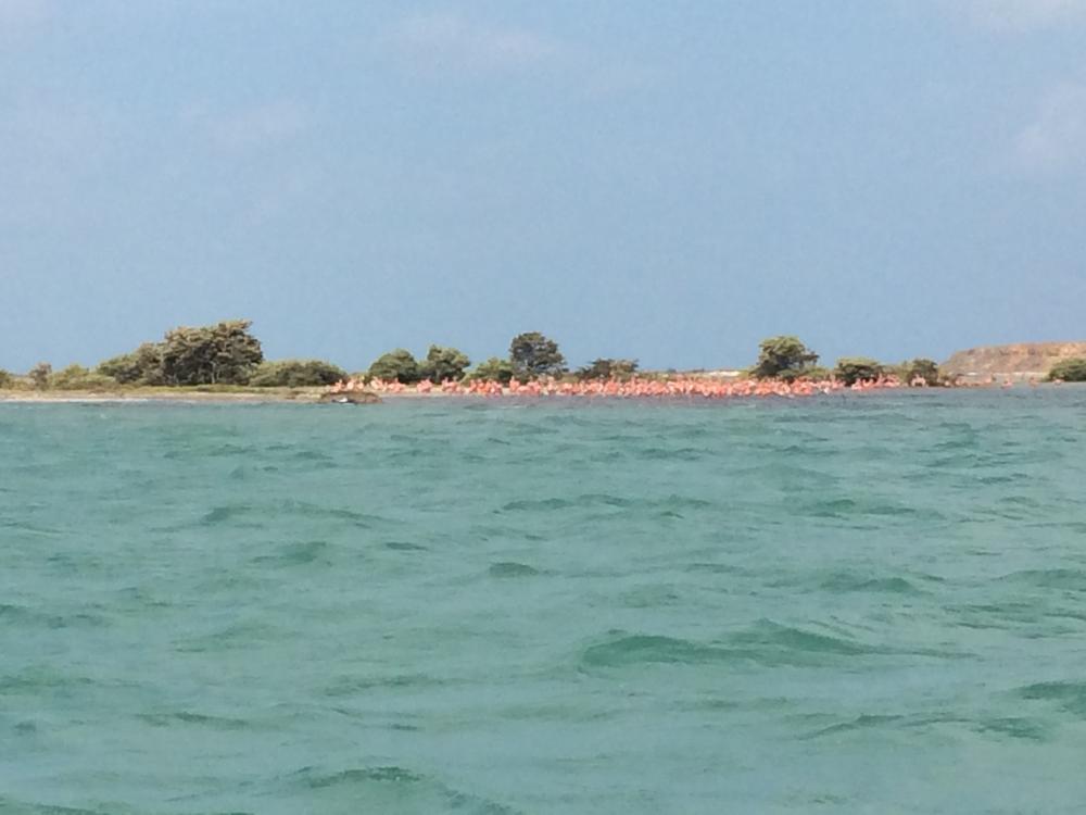 La Guajira - one of the most beautiful & unique places of all my travels