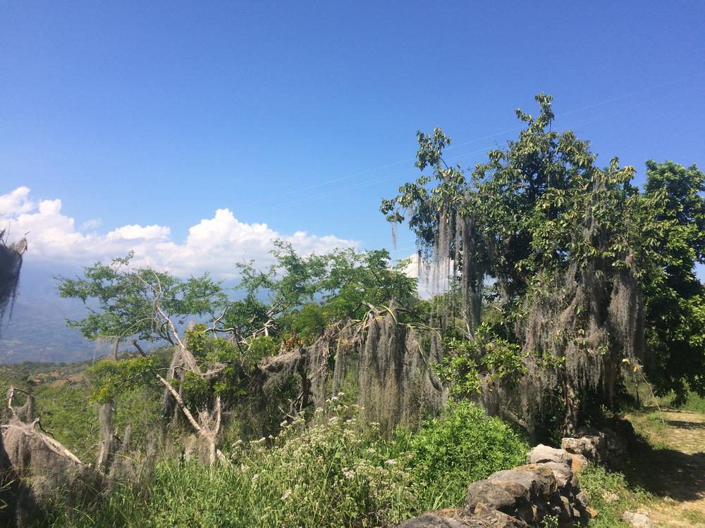 San Gil - A canyon, a colonial village & natural pools