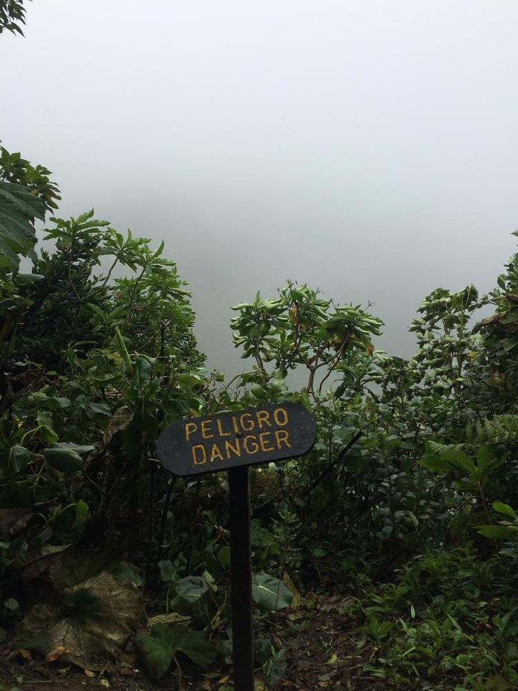 Disappointed in the Monteverde cloud forest