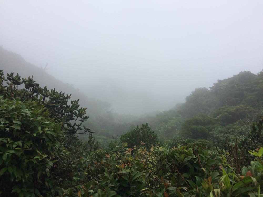 Disappointed in the Monteverde cloud forest