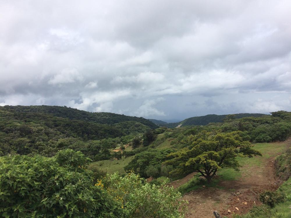 Disappointed in the Monteverde cloud forest