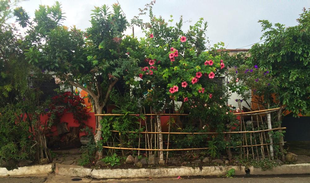 Ruta de las Flores - villages full of flowers and murals