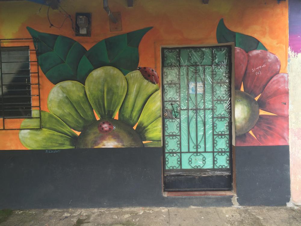 Ruta de las Flores - villages full of flowers and murals