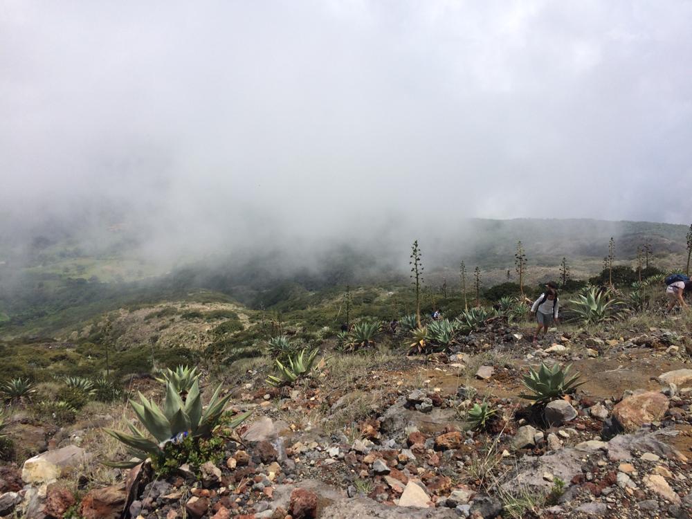 Santa Ana - Volcano ascent with the police