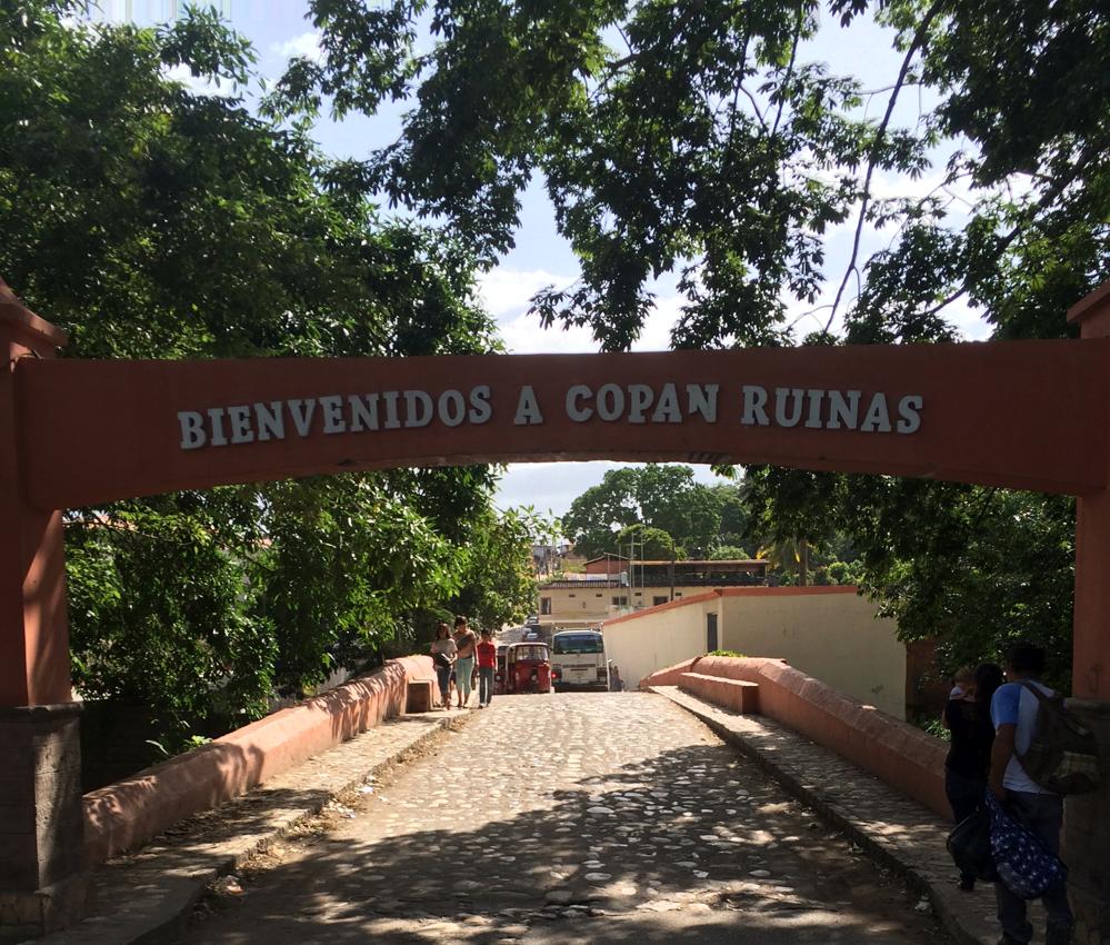 Copán - colourful birds and old ruins