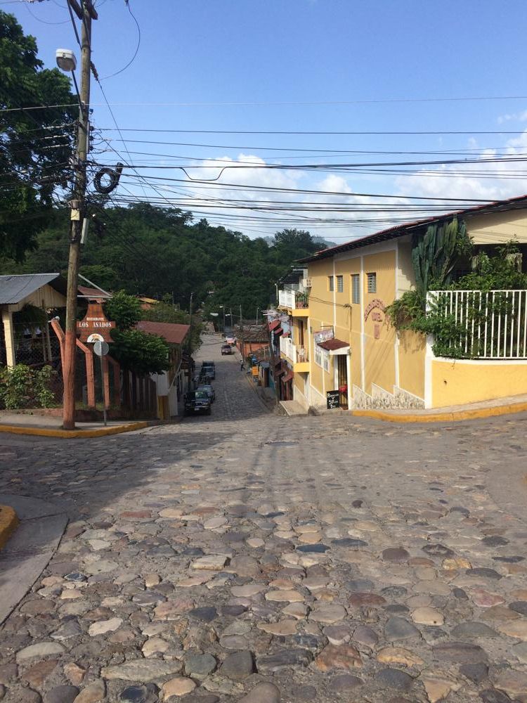 Copán - colourful birds and old ruins