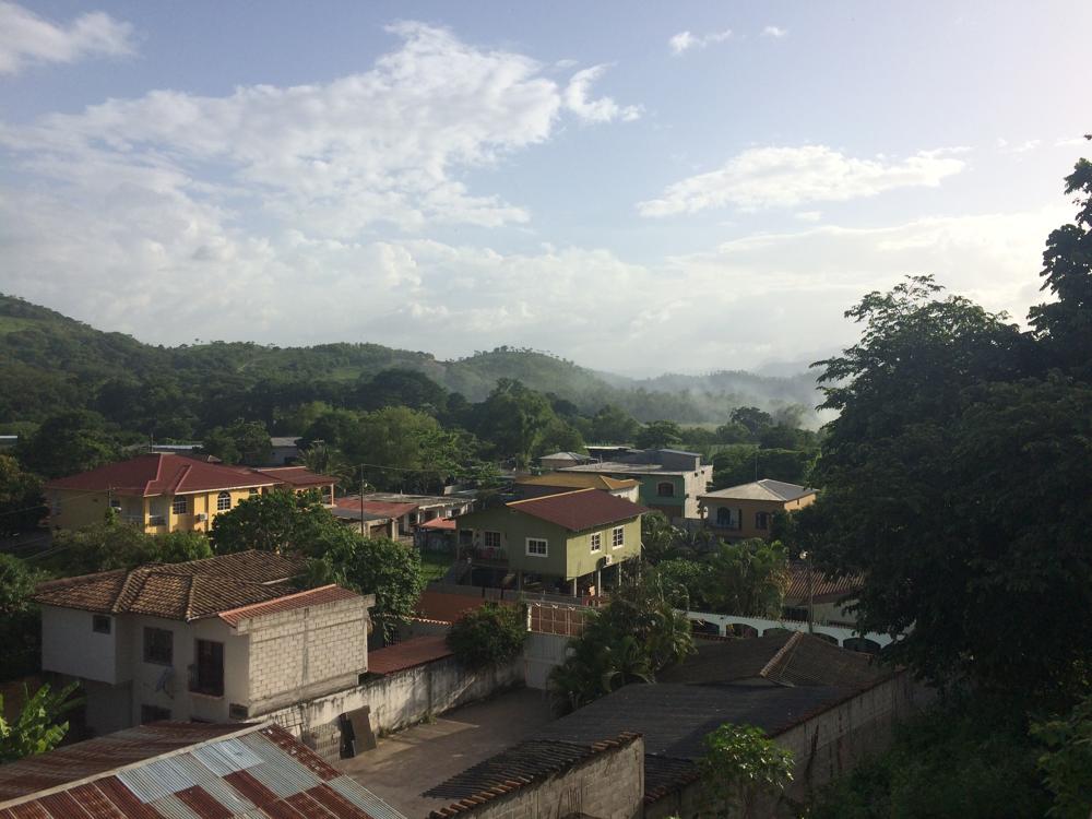 Copán - colourful birds and old ruins