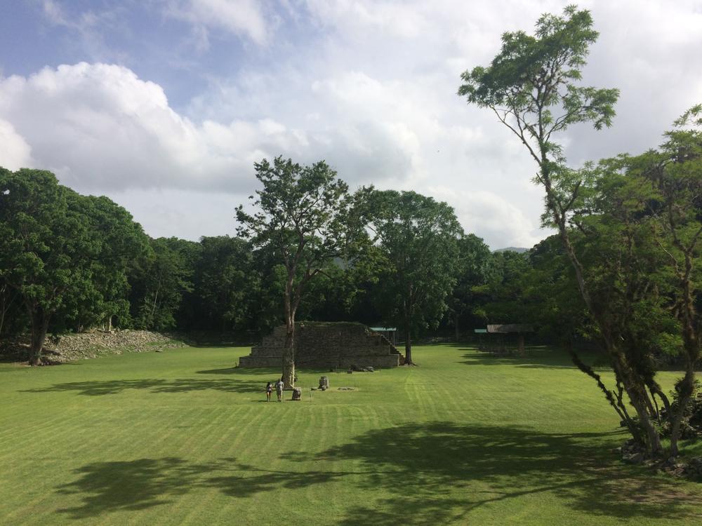 Copán - colourful birds and old ruins