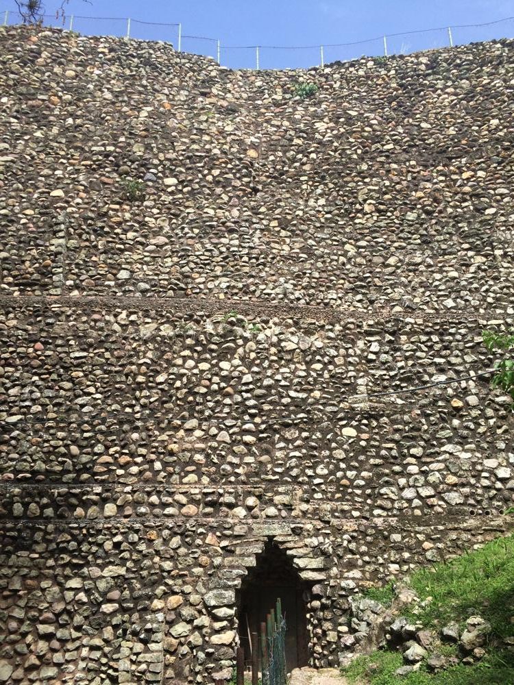 Copán - colourful birds and old ruins