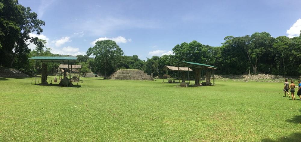 Copán - colourful birds and old ruins