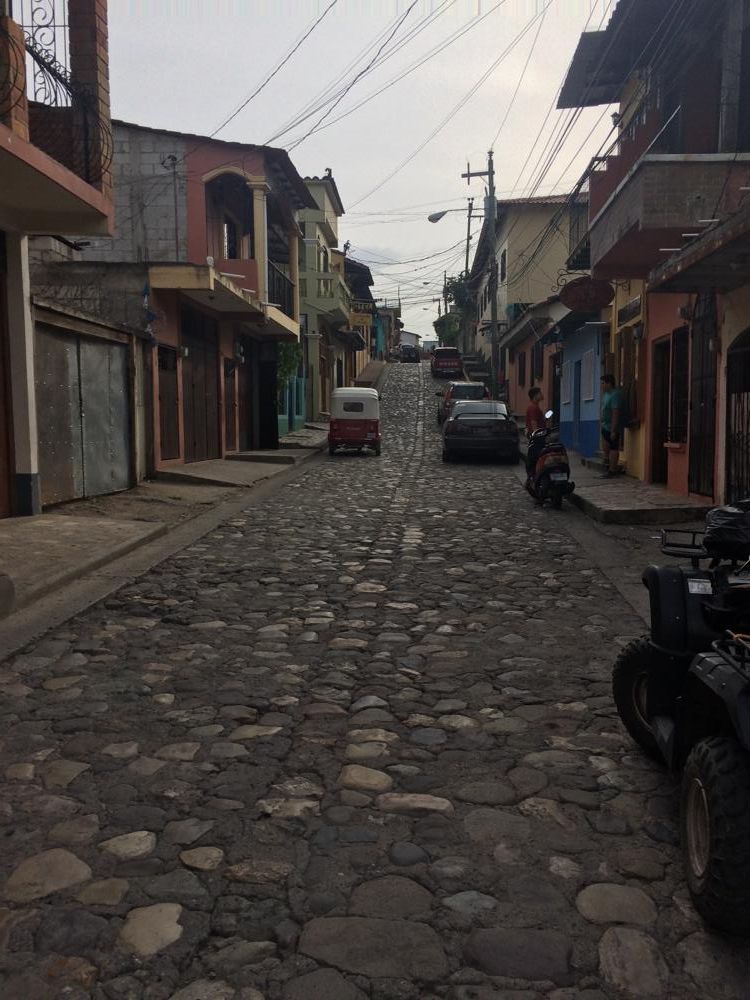 Copán - colourful birds and old ruins