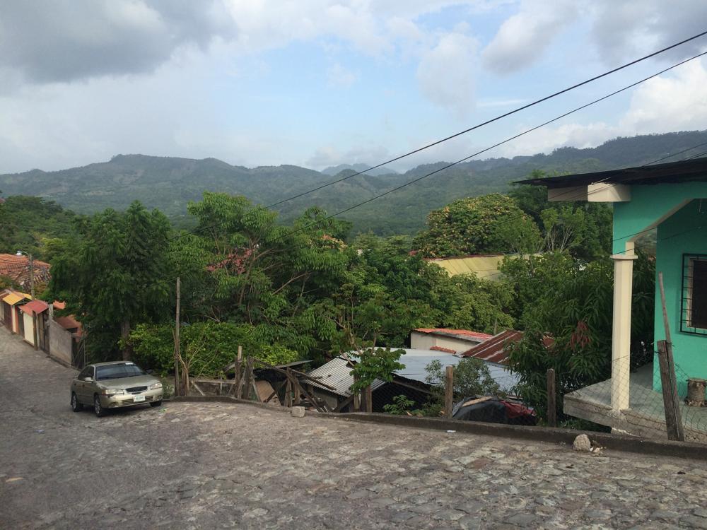 Copán - colourful birds and old ruins