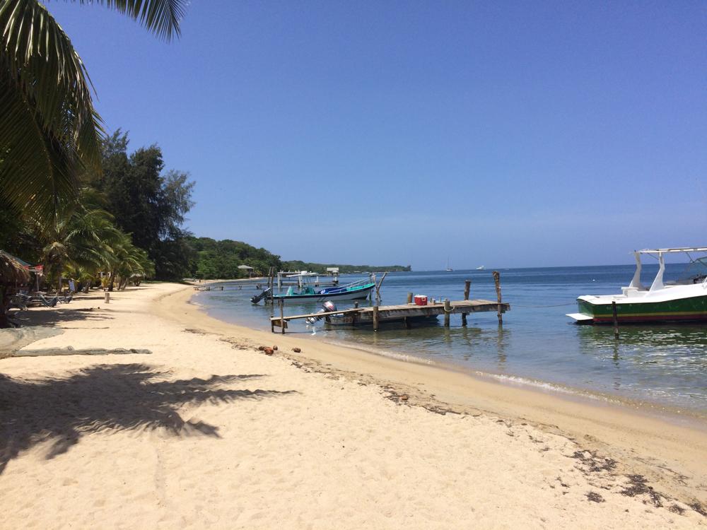 Scuba diving course in Utila