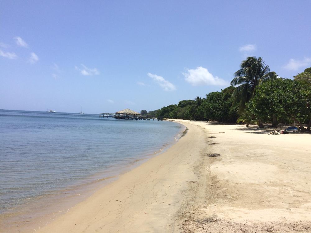 Scuba diving course in Utila