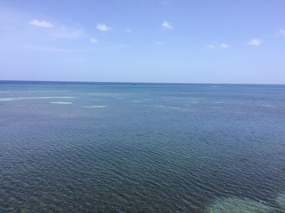 Scuba diving course in Utila