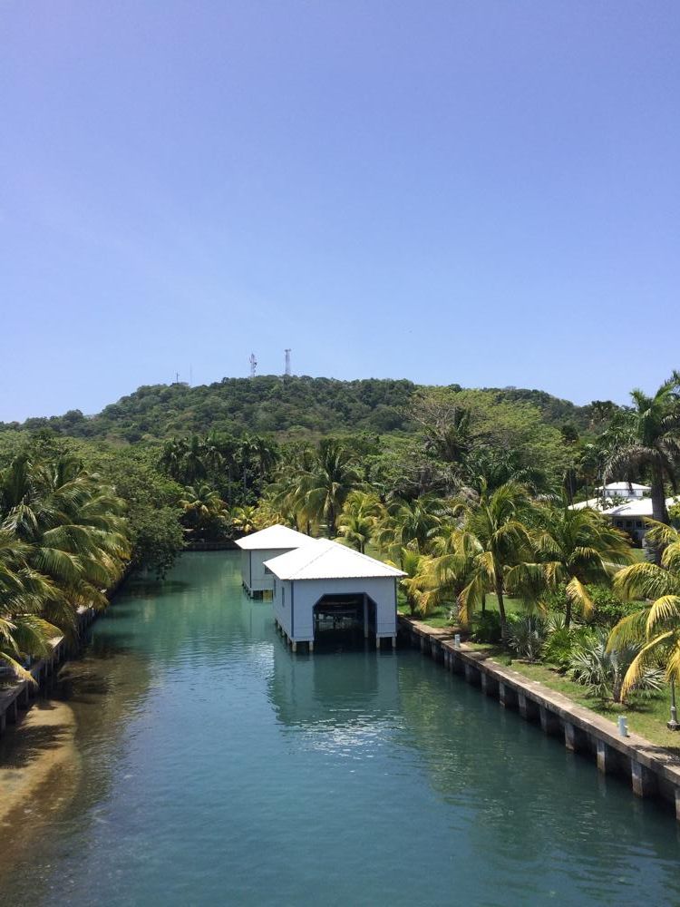 Scuba diving course in Utila