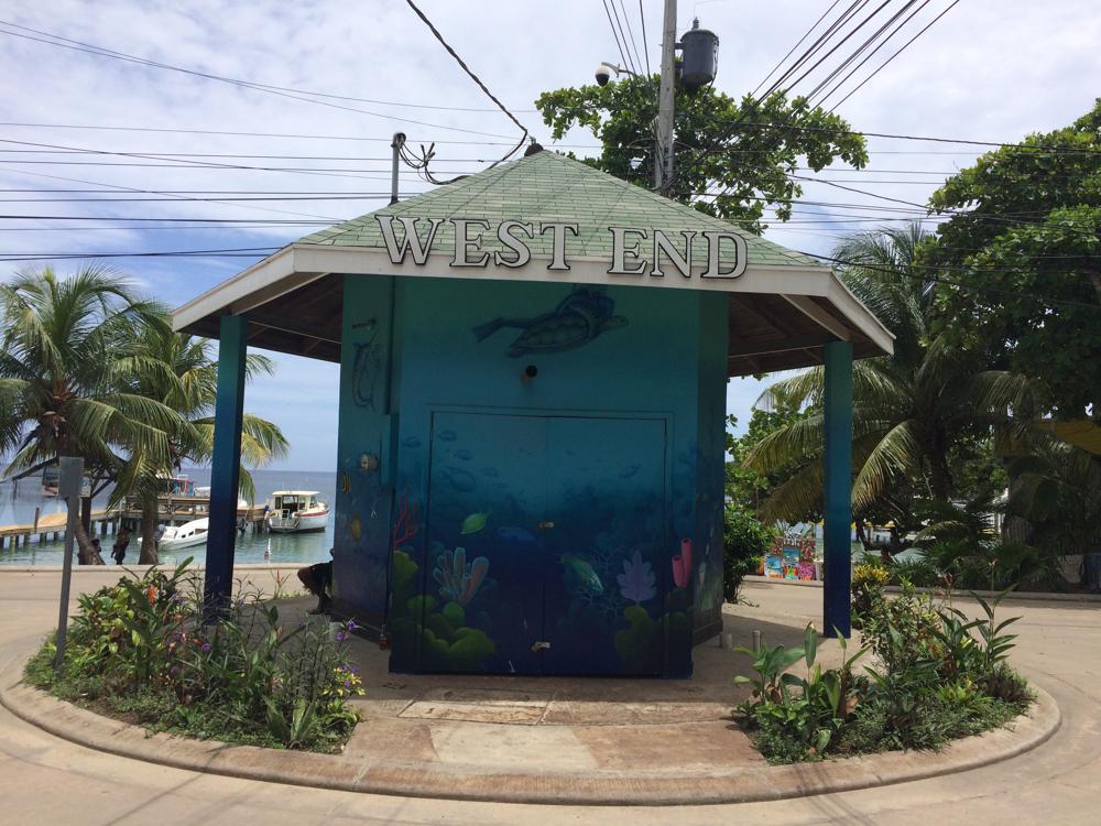 Scuba diving course in Utila