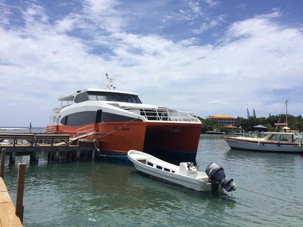 Scuba diving course in Utila