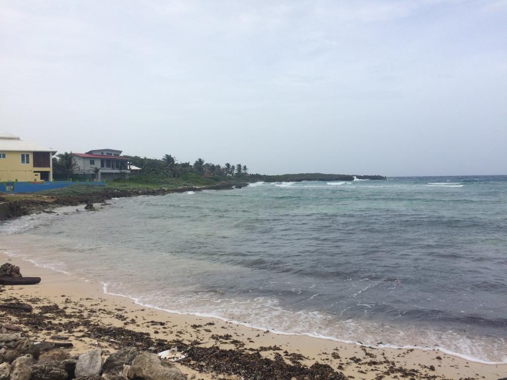 Scuba diving course in Utila