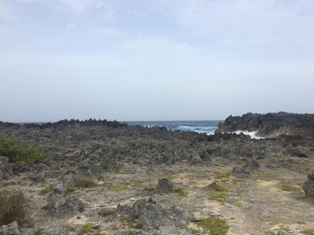 Scuba diving course in Utila