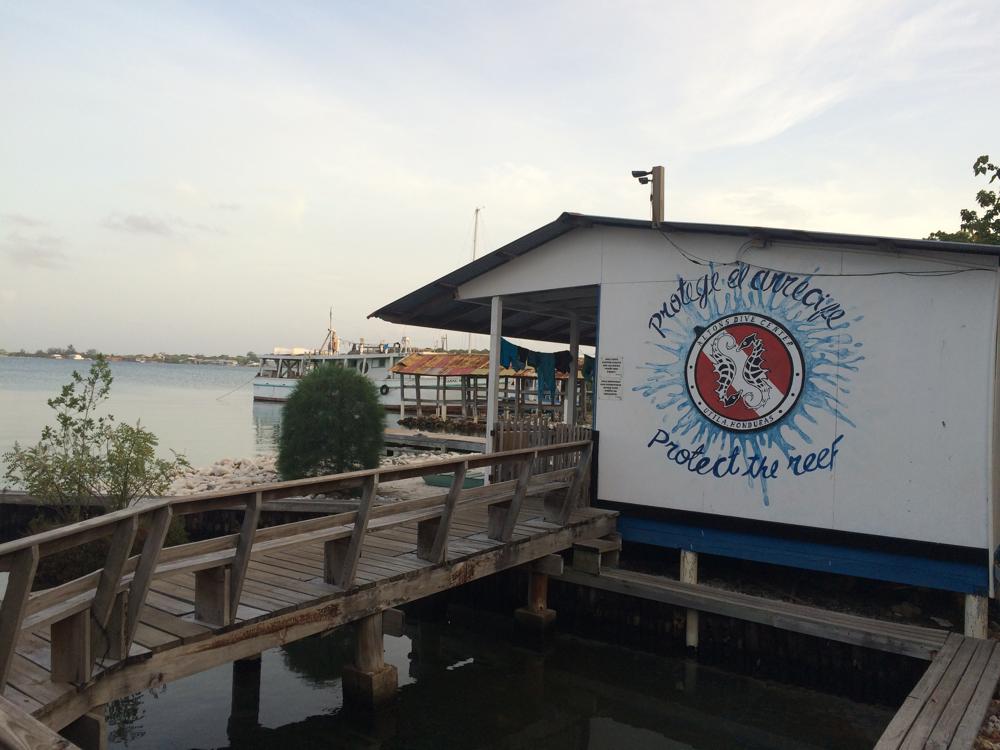 Scuba diving course in Utila