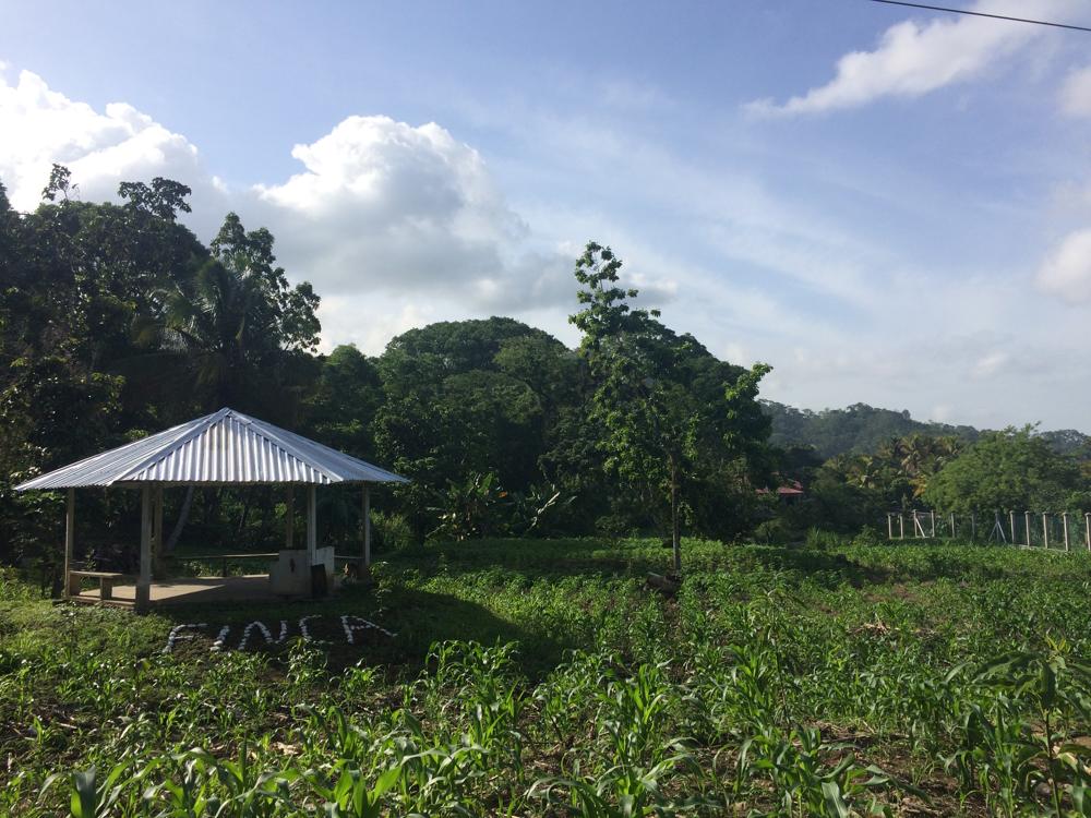 Lago Yojoa - One of the most beautiful places of all my travels