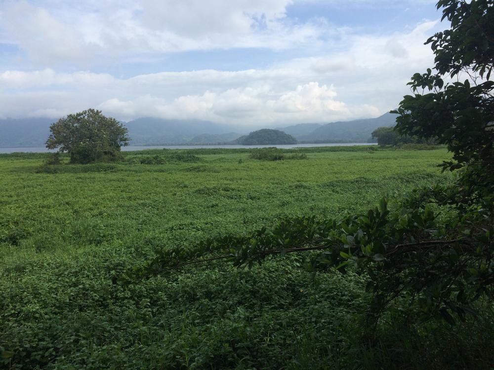 Lago Yojoa - One of the most beautiful places of all my travels