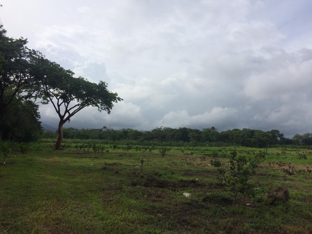 Lago Yojoa - One of the most beautiful places of all my travels